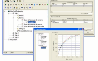 A. BMS (Blast Management System)