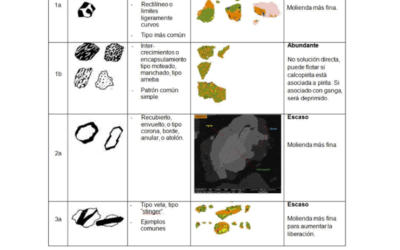 ENCAPSULAMIENTO DEL COBRE – CASO CERRO CORONA